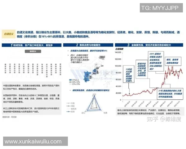 数据分析揭示WE团队成员个人能力表现的深度洞察与发展建议